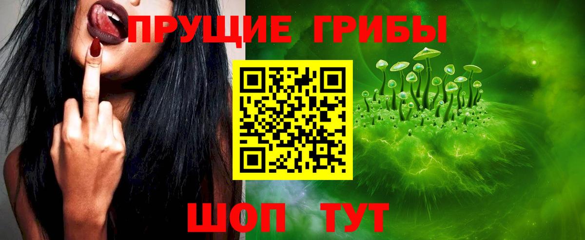 Галлюциногенные грибы Magic Shrooms  Галлюциногенные грибы GOLDEN TEACHER  Бугуруслан 