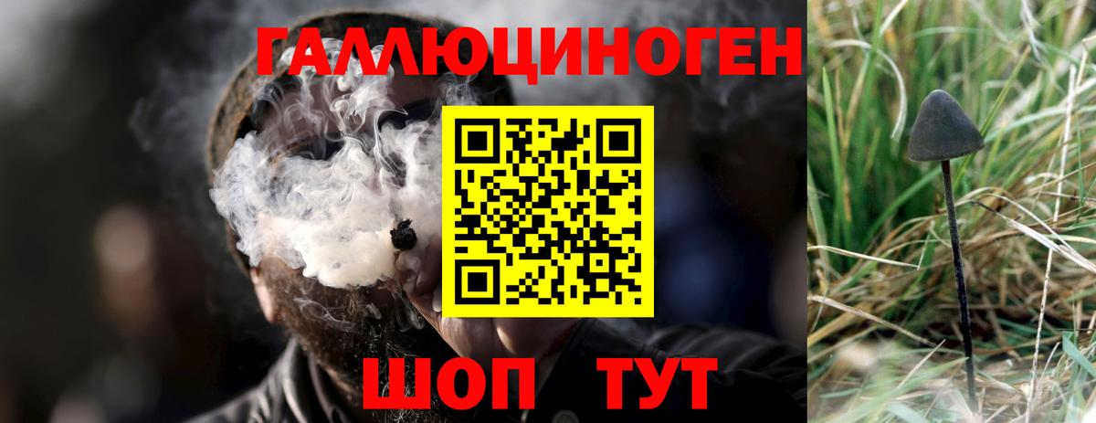 Псилоцибиновые грибы Magic Shrooms Бугуруслан